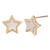 14Kt Mother of Pearl Star Earrings